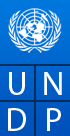 United Nations MDG