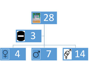 App study flow diagram